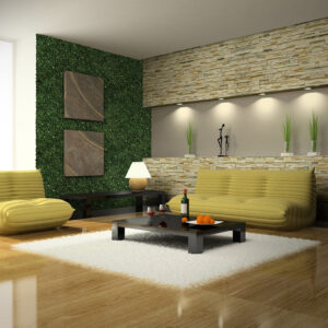 Fast Set Beige